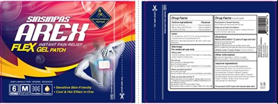 Sinsinpas Arex Flex Gel Patch (Sinsinpas Arex Flex Gel Pain Relieving Patch 6p)